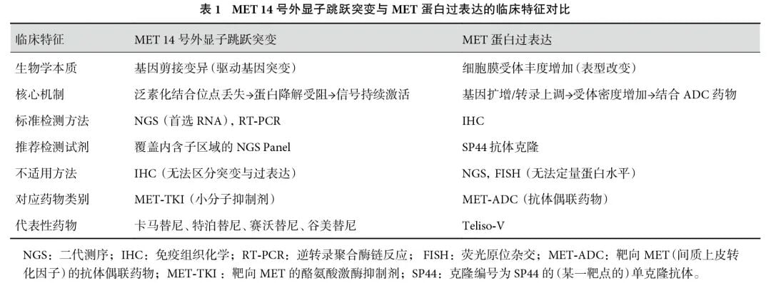 MET14号外显子跳跃突变与MET蛋白过表达的检测与治疗差异对比表