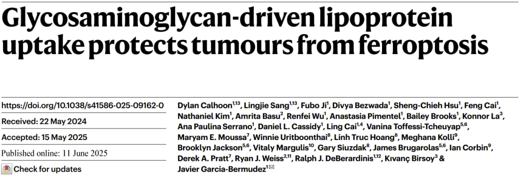 维生素E通过HDL与LDL进入癌细胞并抑制铁死亡的机制示意图