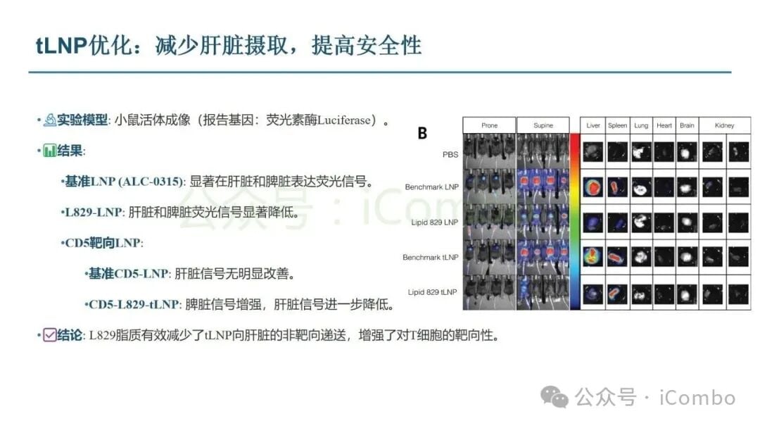 体内CAR-T在白血病模型中实现肿瘤缓解的实验图