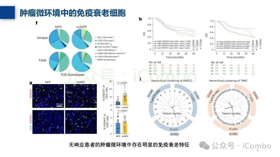 免疫衰老相关标志物的筛选与验证