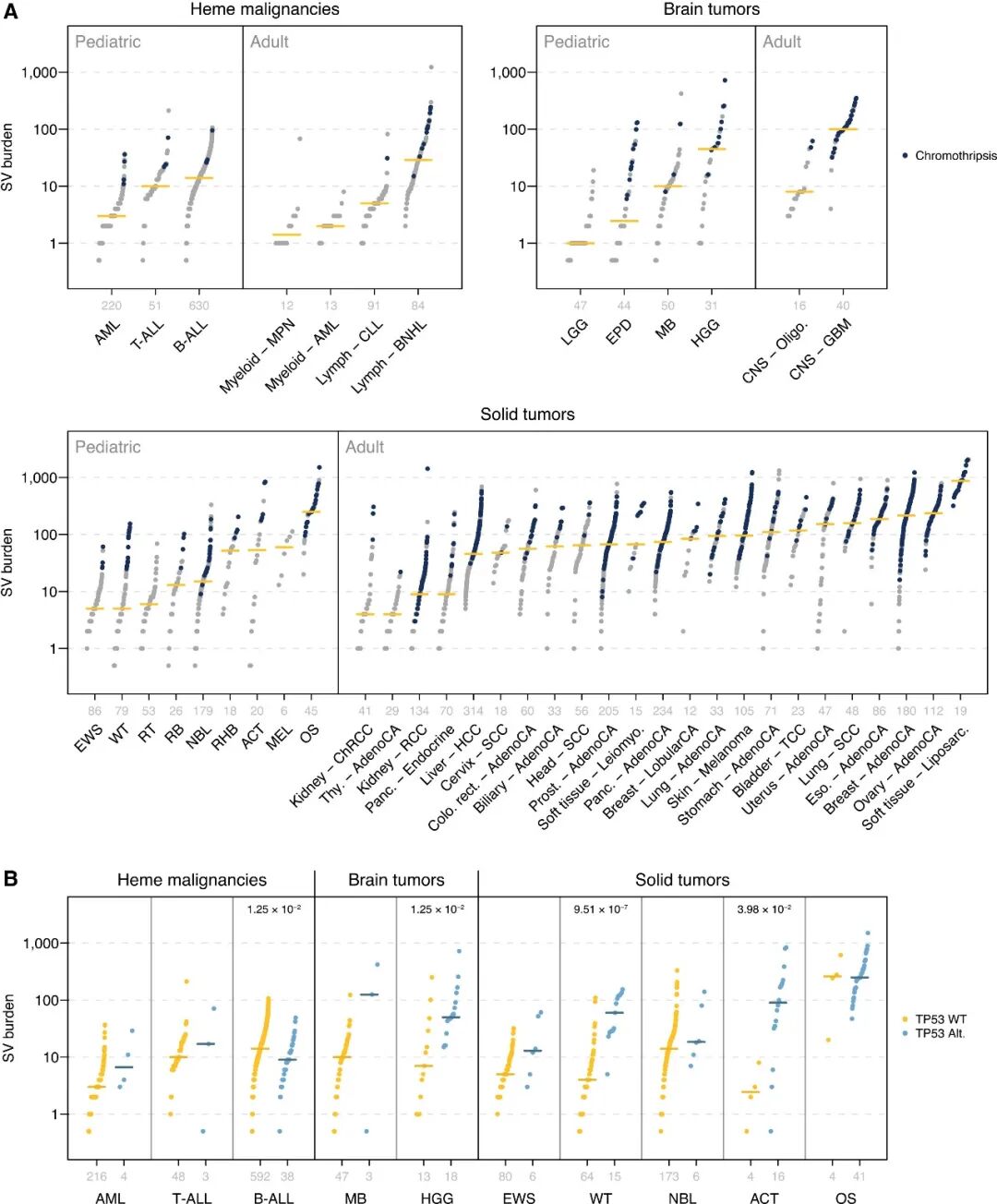 儿童与成人癌症体细胞SV负荷对比图：儿童脑肿瘤与实体瘤更低，血液肿瘤相近