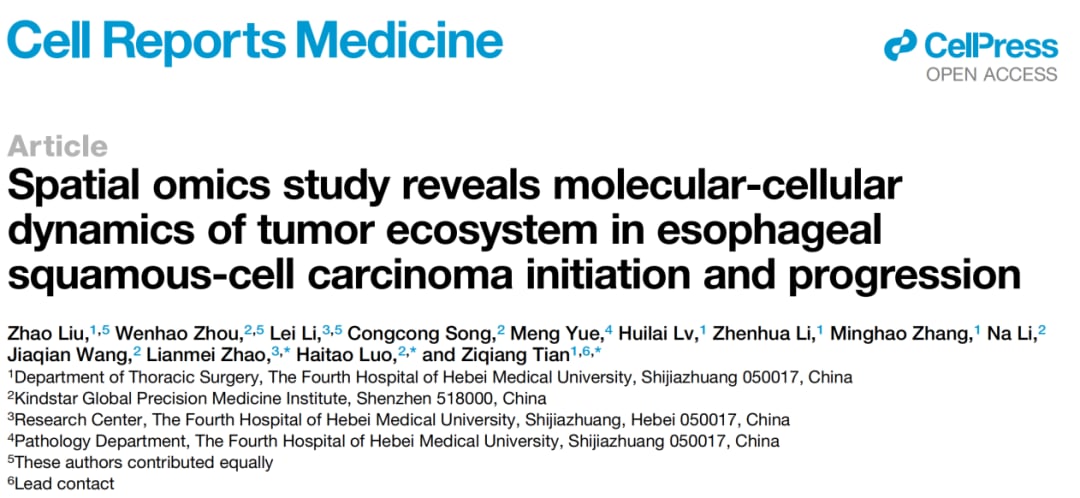 河北医科大学关于食管鳞癌ESCC全周期空间分子图谱的研究流程图与空间分布展示