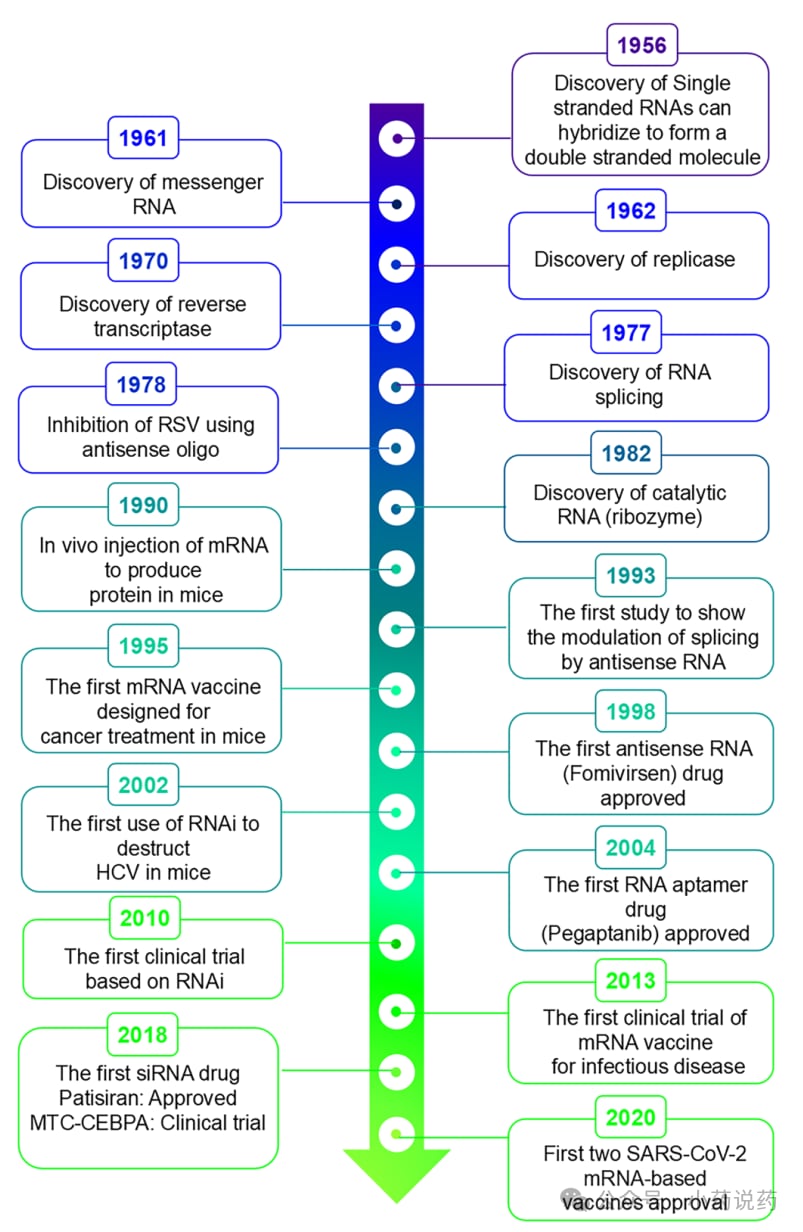 RNA疗法发展历程与关键里程碑时间轴