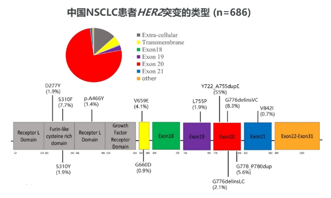 HORIZON-Lung研究瑞康曲妥珠单抗疗效数据图