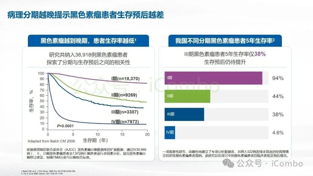 黑色素瘤辅助治疗指南推荐双靶方案图