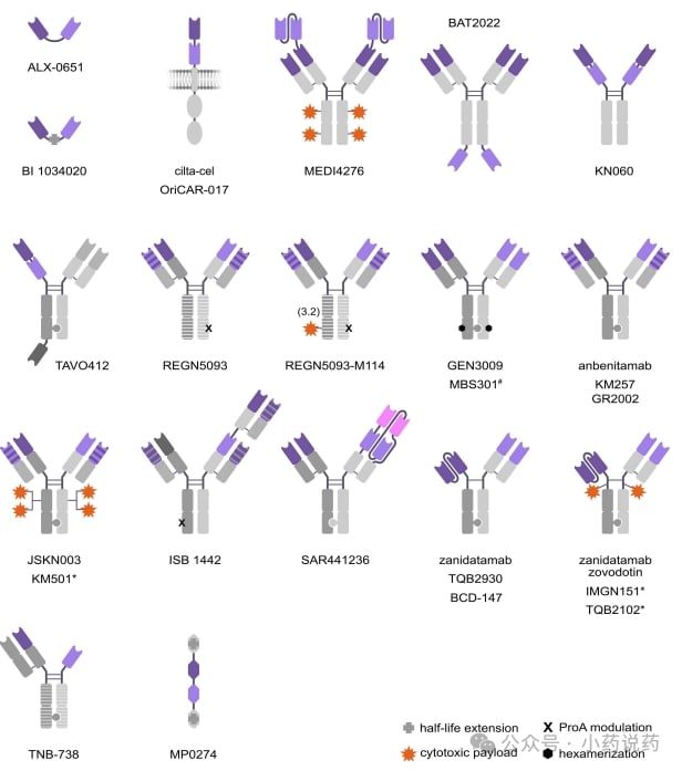 双表位双特异性抗体bpAbs的多样化分子结构设计