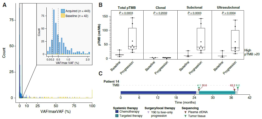 获得性变异中亚克隆与超亚克隆突变占比