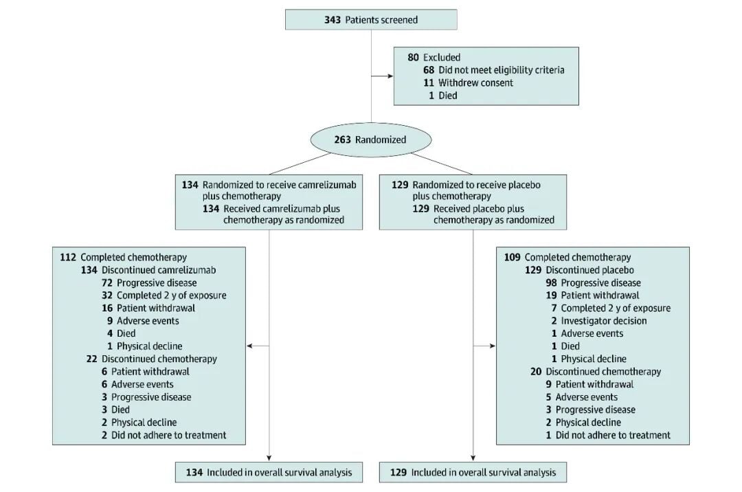 卡瑞利珠单抗联合化疗与安慰剂联合化疗的总生存期曲线图