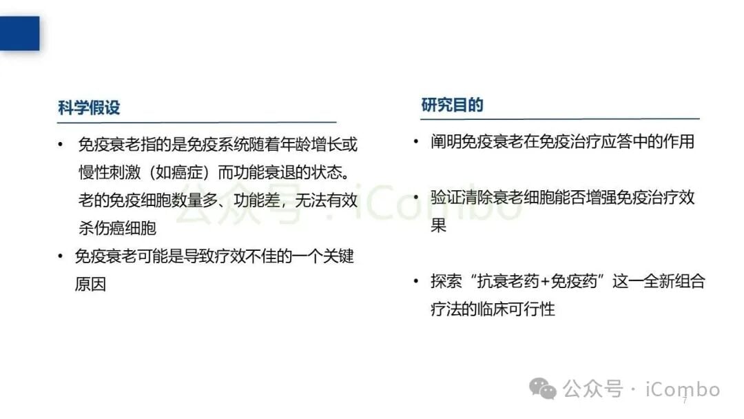 T细胞与B细胞在免疫治疗中的动态演变