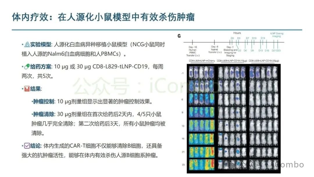 体内CAR-T进入I期临床试验前的转化研究流程图