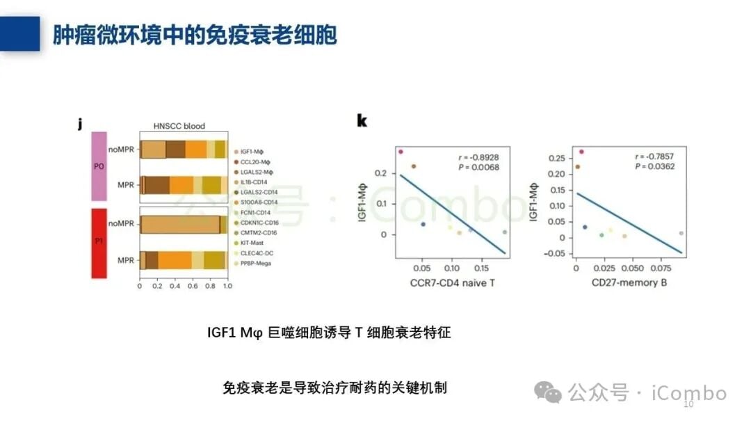 scRNA-seq揭示的免疫耐药关键亚群