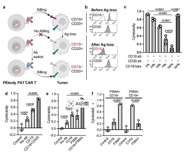 可编程CAR应对抗原逃逸和肿瘤异质性的体外实验结果图