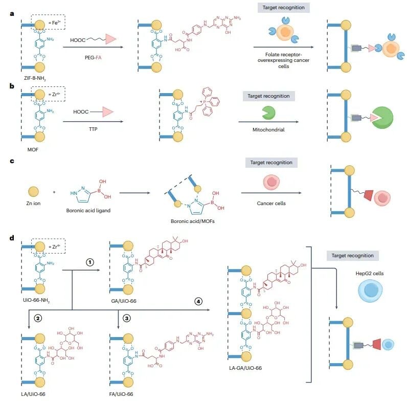 叶酸和线粒体靶向小分子修饰MOFs在肿瘤治疗中的应用图