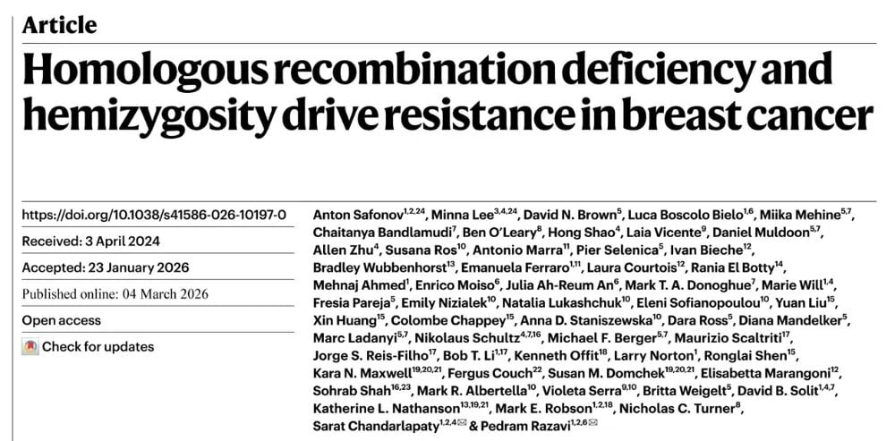 乳腺癌患者胚系突变对肿瘤体细胞演化及治疗耐药路径的影响示意图