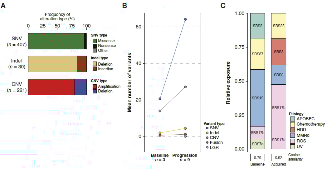 靶向治疗诱导的单核苷酸变异SNV占比图