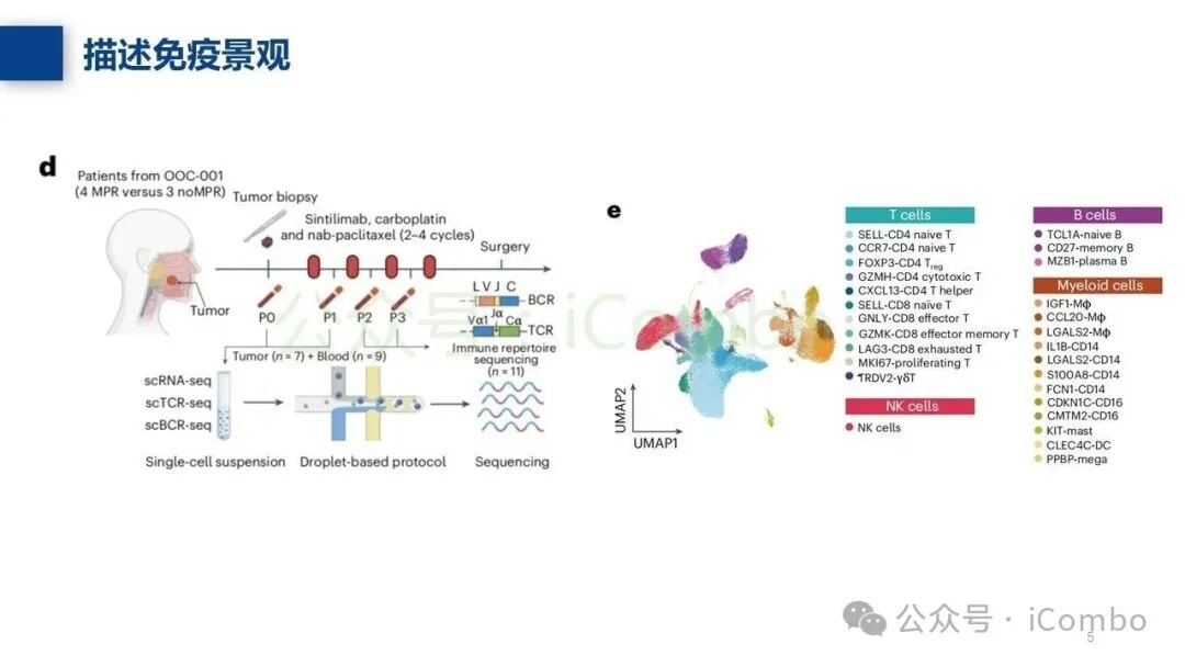抗衰老药物联合PD-1抑制剂的协同治疗机制图