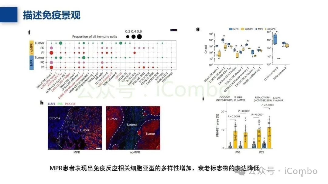 联合治疗后肿瘤微环境内免疫细胞浸润的变化