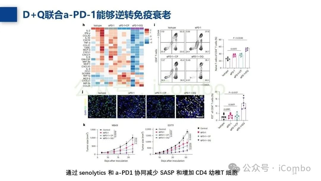 实验数据显示联合疗法能显著延长生存期