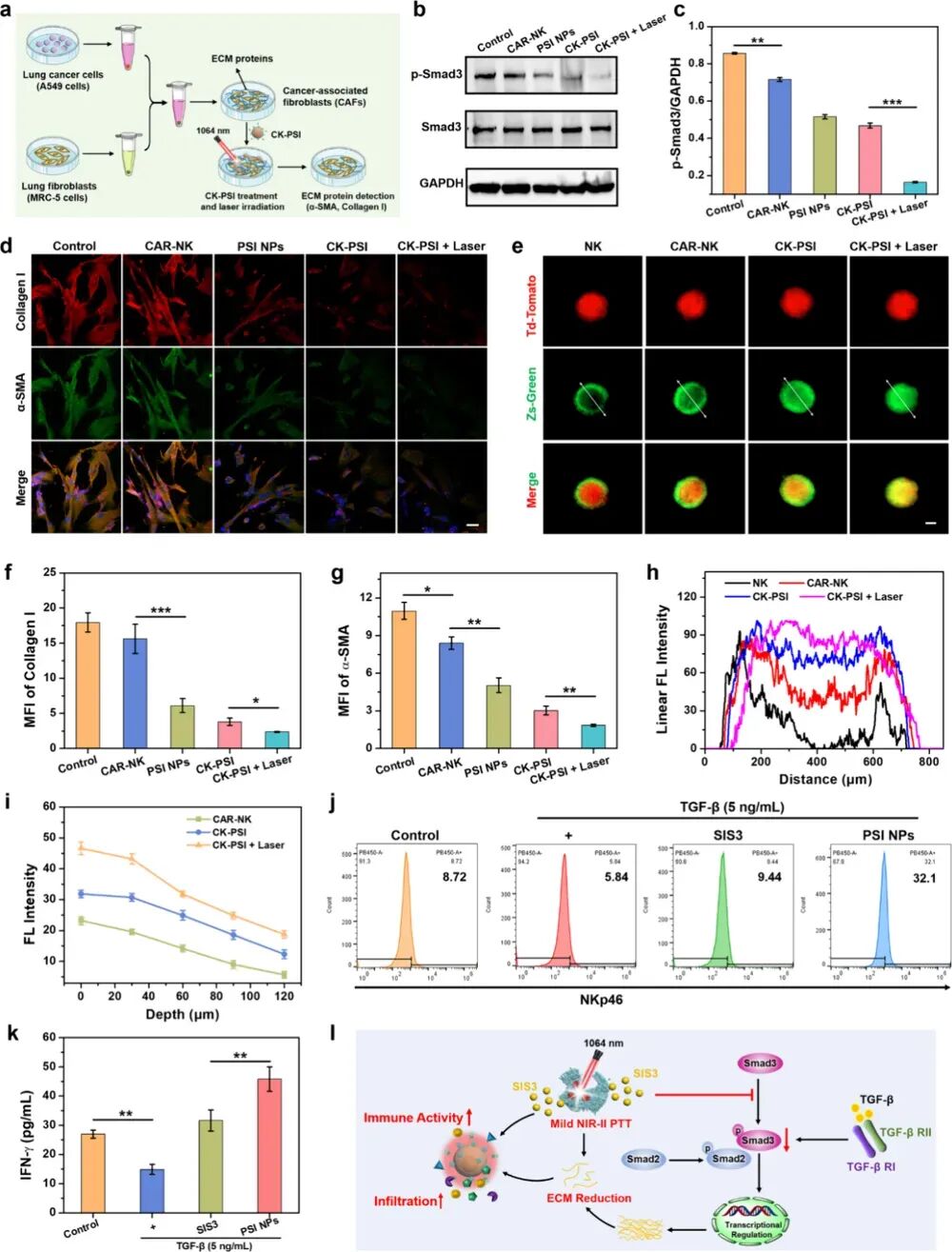 三维肿瘤球浸润实验及免疫激活数据图