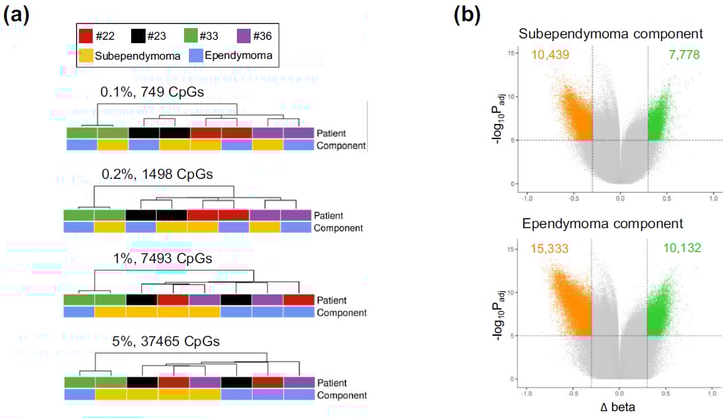 混合型肿瘤成分的特异性甲基化聚类分析