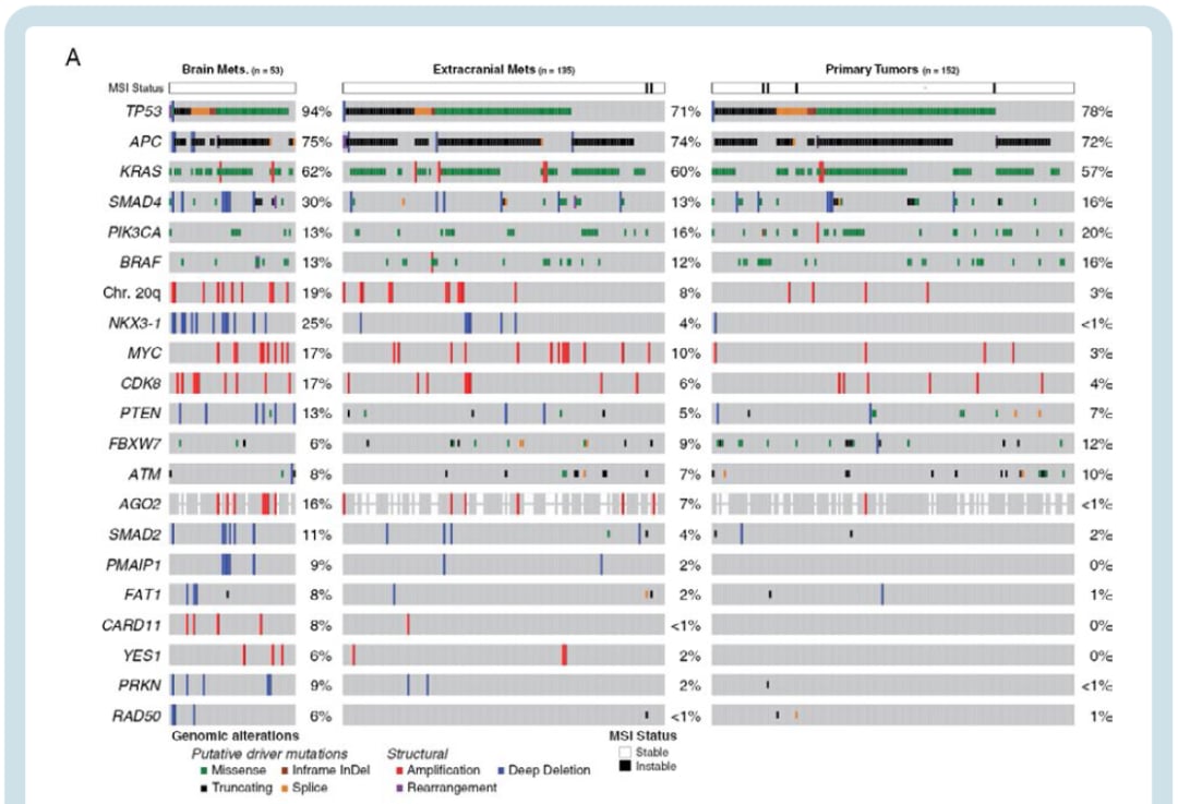 结直肠癌原发灶与转移灶驱动基因突变图谱