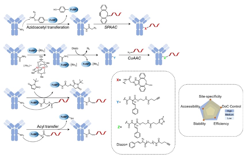 AOC结合诱导替代偶联技术示意图