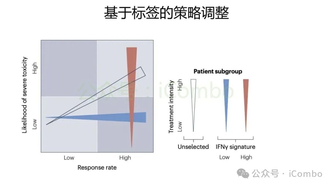黑色素瘤免疫治疗未来联合策略和临床研究图