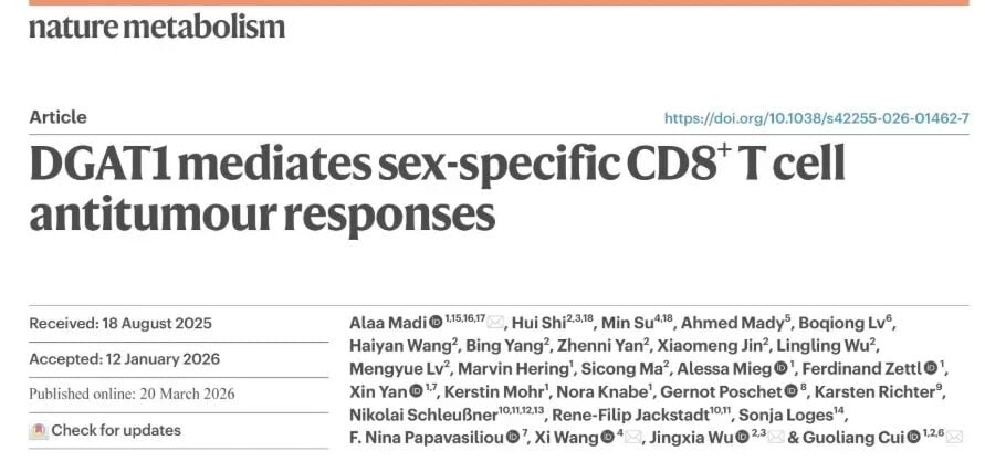 肿瘤免疫治疗性别差异与DGAT1代谢调控研究示意图