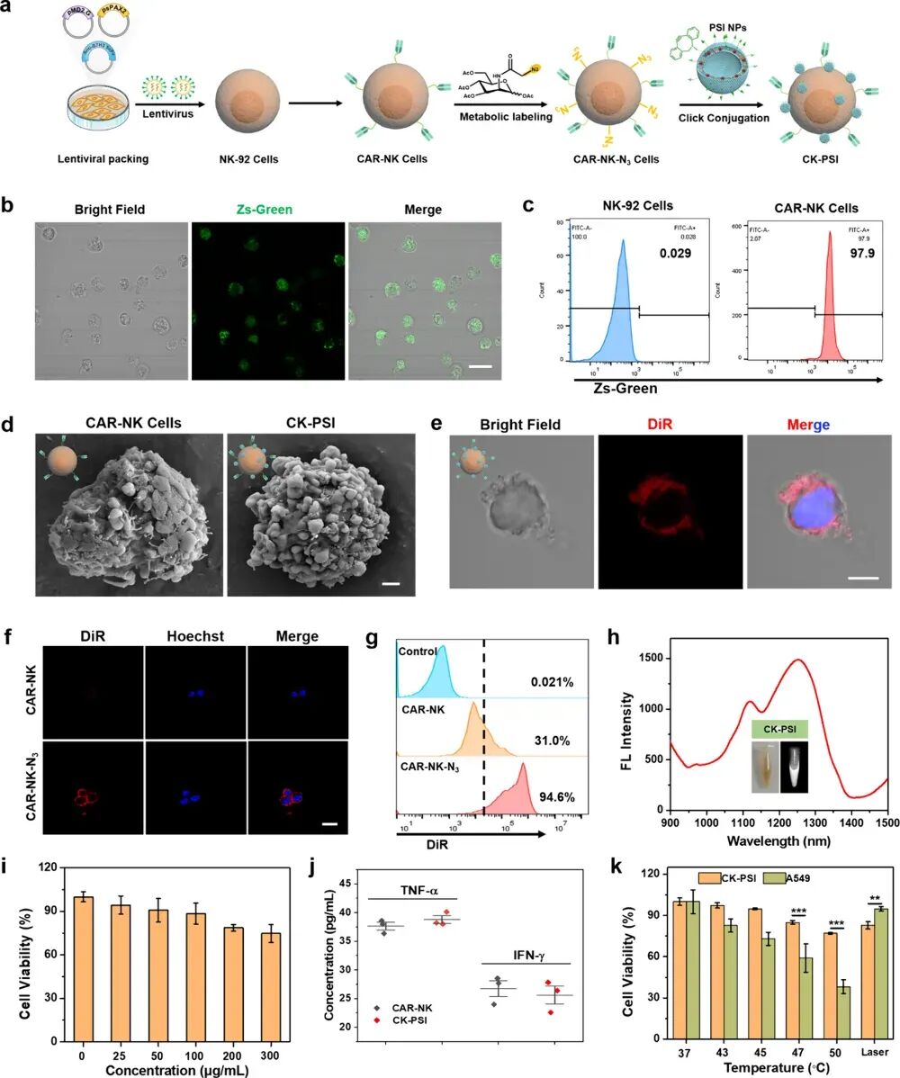 CK-PSI生物杂化体系的制备与表征流式分析图