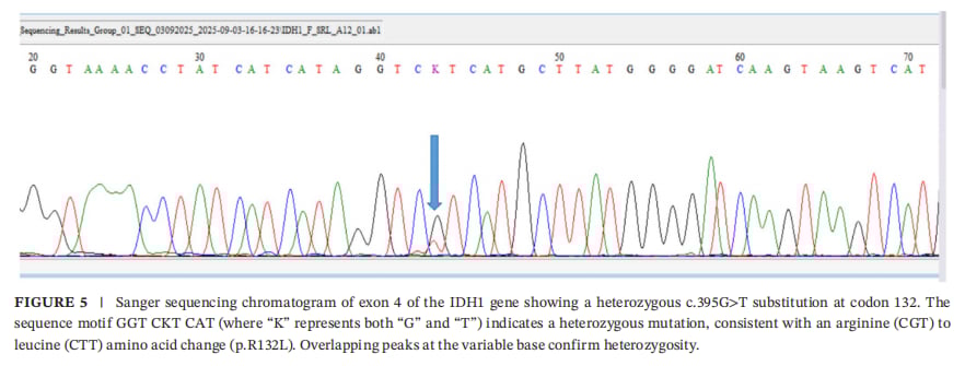 915afda950674c76af84d3da2f3a26d5 9WrFBUD2BO4n