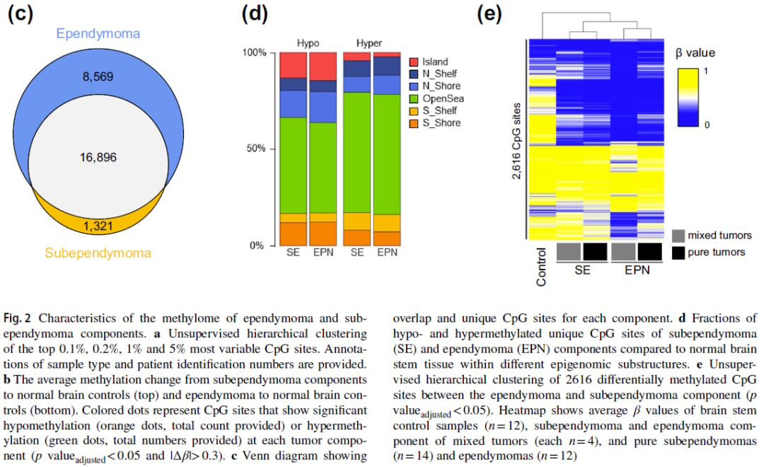 差异甲基化CpG位点的重叠与演化分析