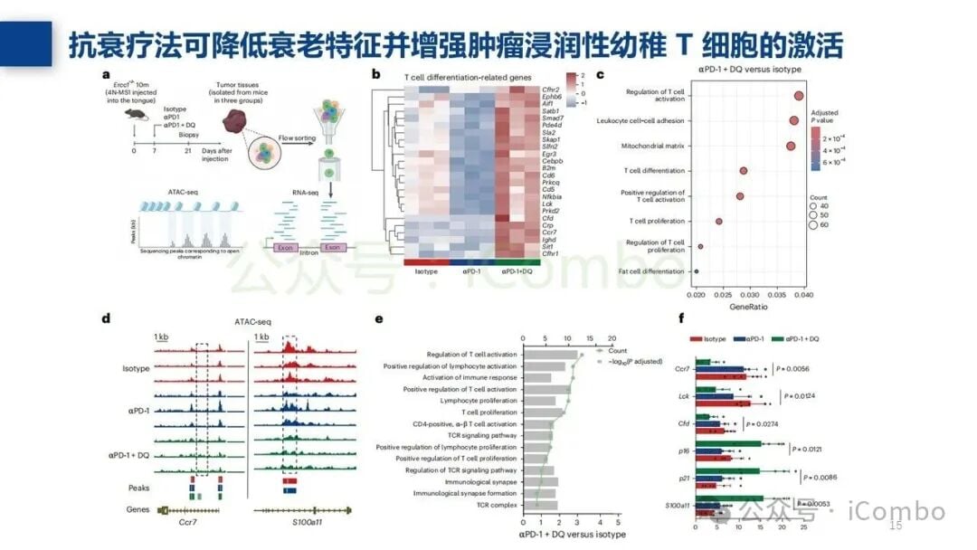 免疫衰老相关通路的靶向治疗潜力分析
