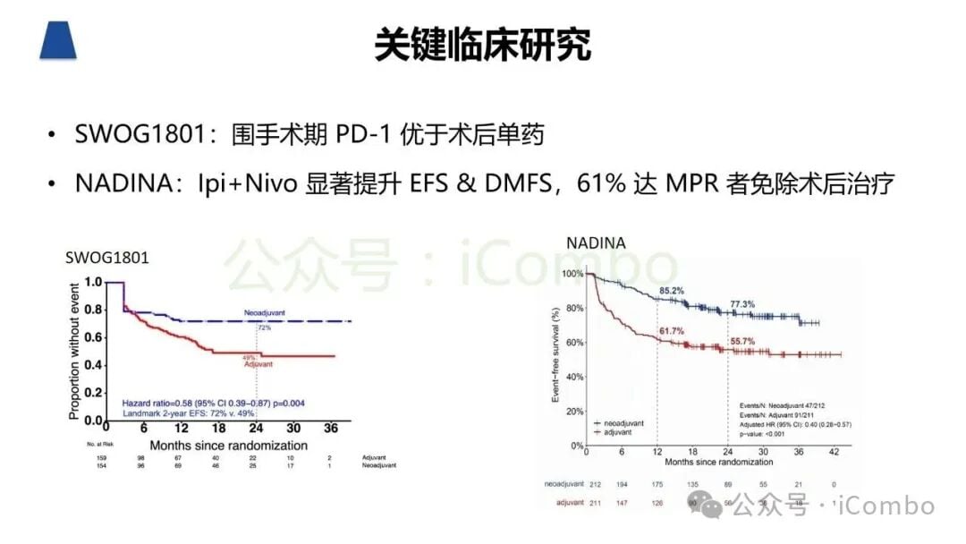黑色素瘤新辅助免疫治疗病理缓解分级示意图