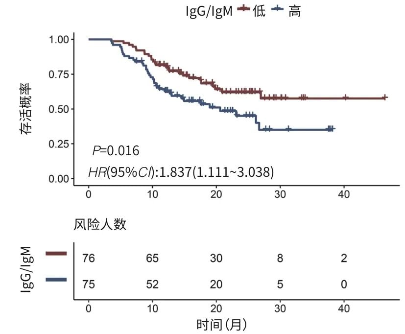 肝细胞癌三联治疗中不同IgG与IgM比值患者总生存曲线