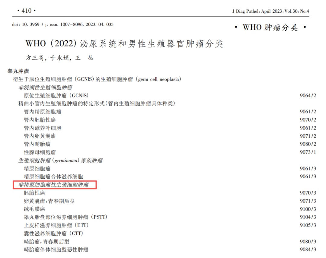 非精原细胞性生殖细胞肿瘤合并BRCA1胚系变异：化疗不耐受与PARP抑制剂提示图