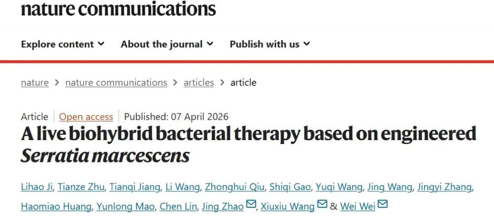工程化减毒粘质沙雷氏菌用于肿瘤光热免疫治疗的研究示意图