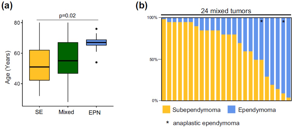 DNA甲基化分型下的后颅窝室管膜肿瘤亚群分布图