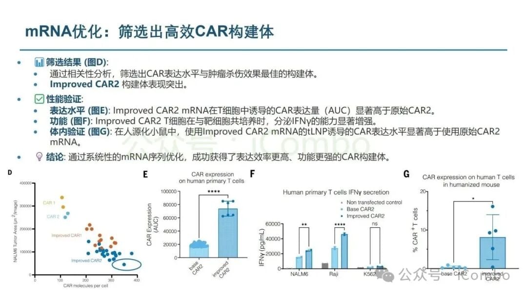体内CAR-T在人源化小鼠和灵长类模型中的研究结果图