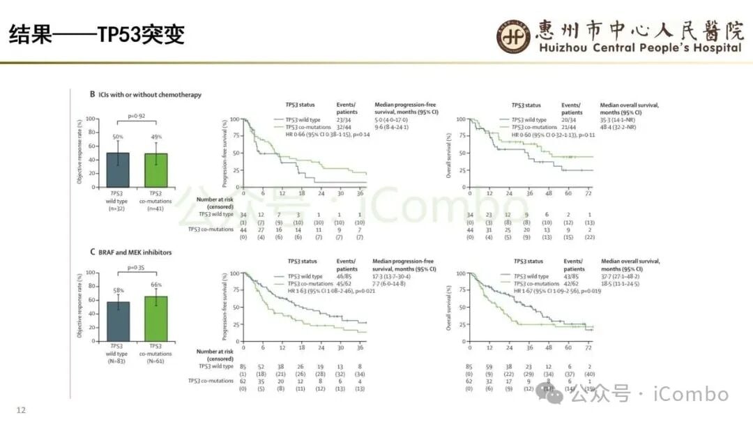 不同一线策略不良反应比较图