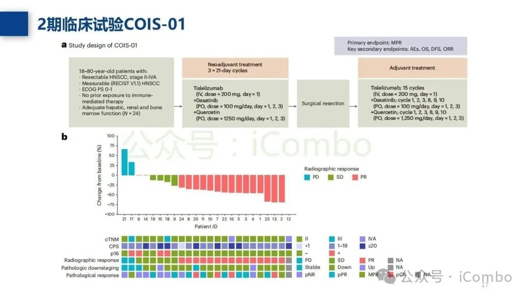 研究团队对未来免疫联合方案的构想图