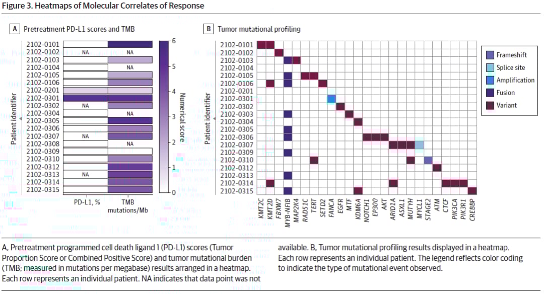 晚期腺样囊性癌患者肿瘤分子和免疫学特征图