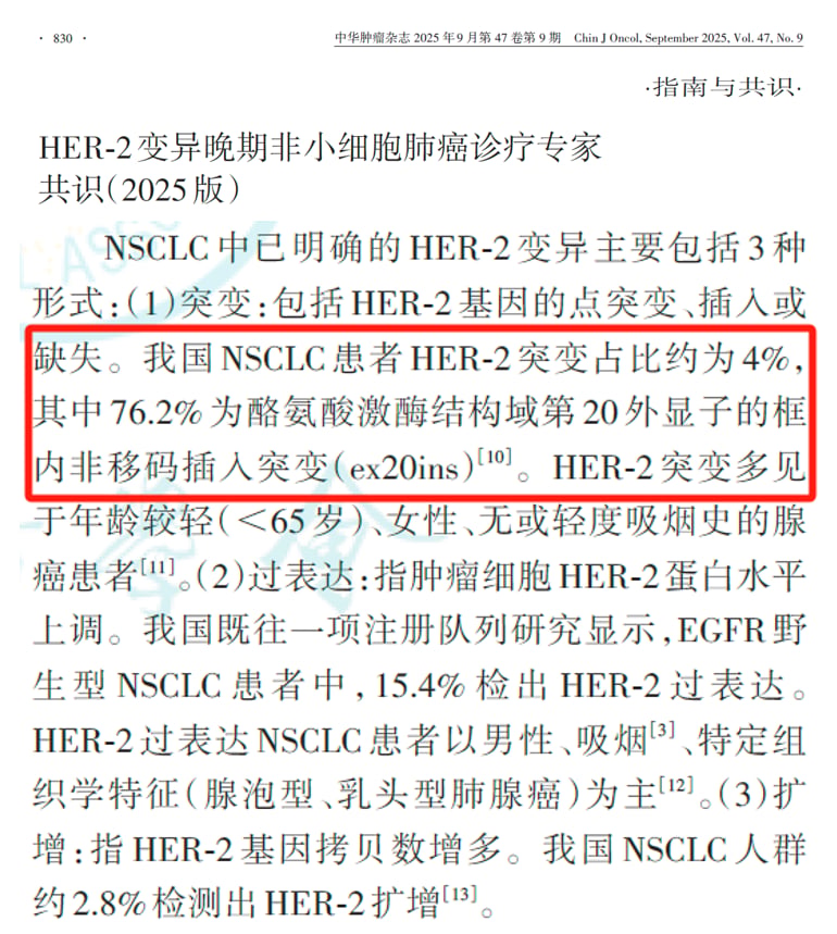 HER2突变非小细胞肺癌变异类型与发生率图解