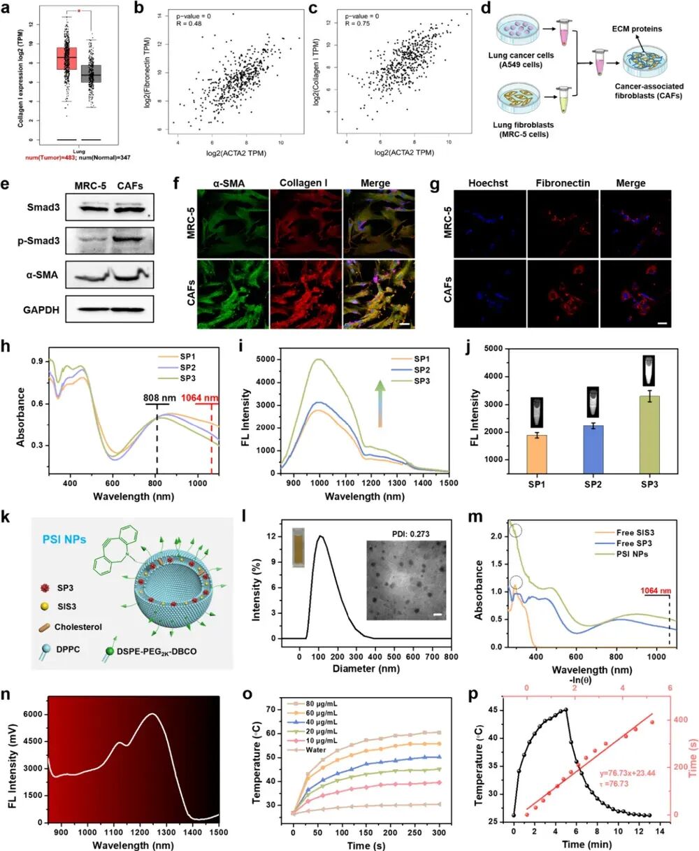 纤维化型肺癌病因学分析及NIR-II纳米药物表征数据