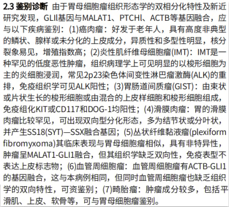 胃母细胞瘤与其他胃部肿瘤的病理鉴别诊断要点