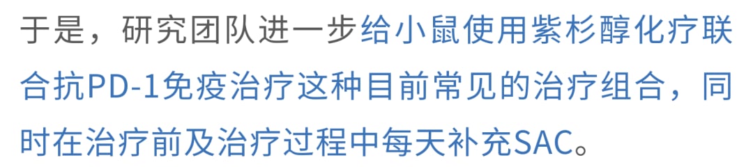 SAC补充在小鼠肿瘤模型中抑制肿瘤生长的实验结果图