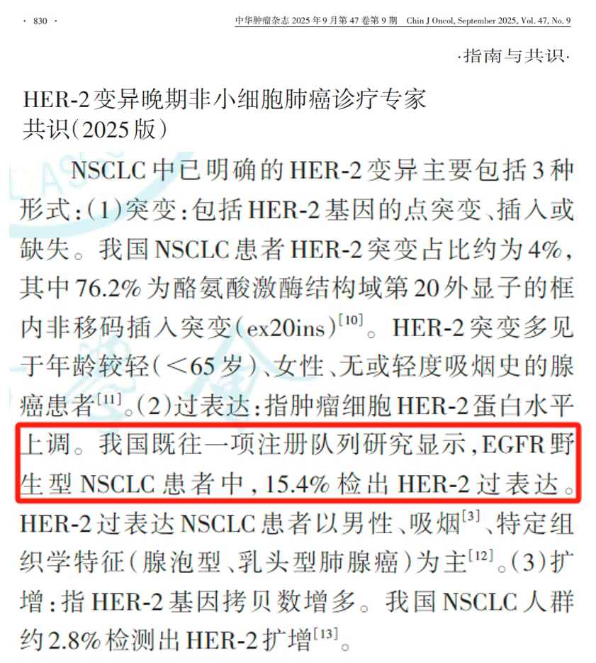 HER2基因扩增检测方法图