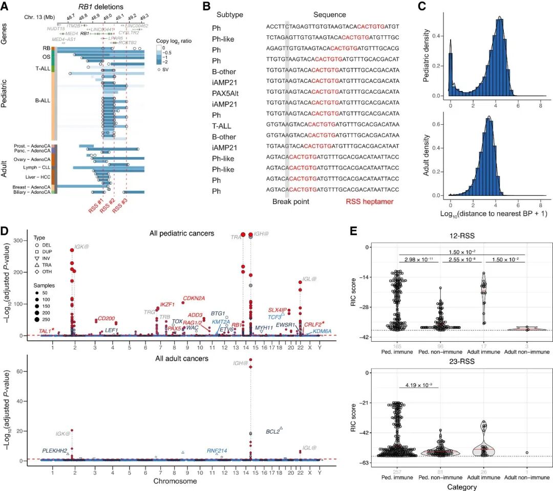 儿童肿瘤复发性结构变异SV热点分布图：B-ALL与T-ALL相关热点与免疫区域及驱动基因重叠
