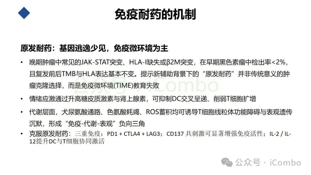 黑色素瘤癌症免疫循环与T细胞浸润示意图