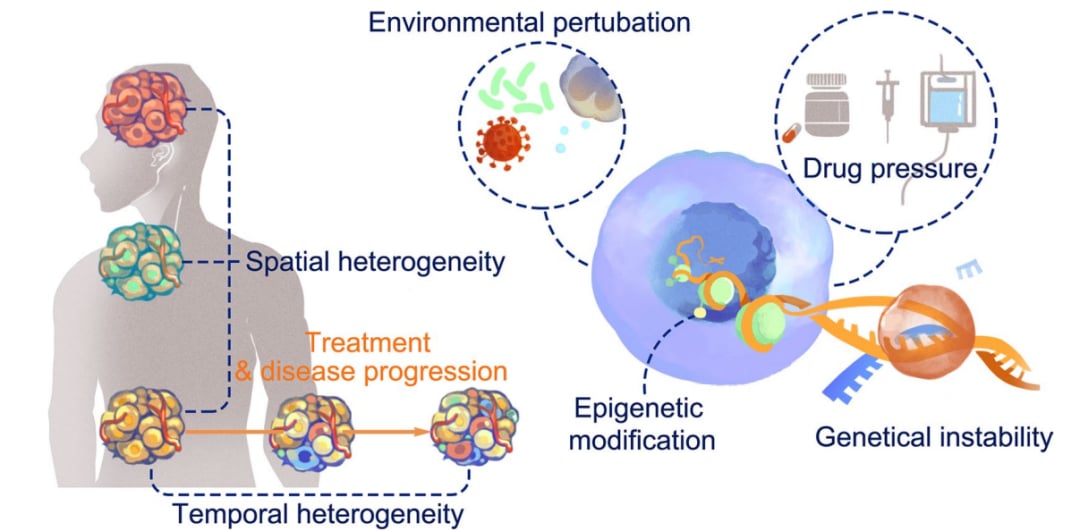 肿瘤免疫微环境异质性的四大起源