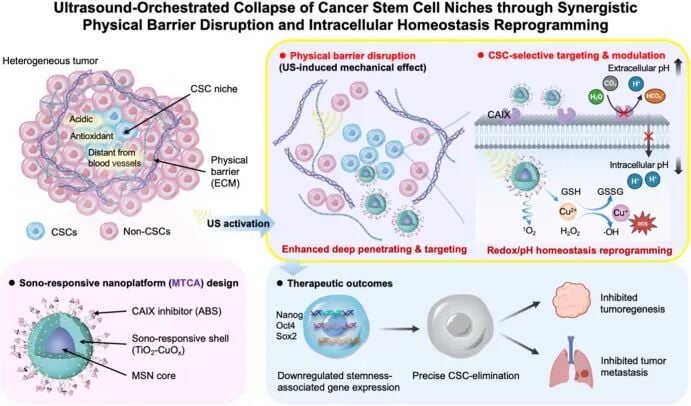 超声空化破坏ECM屏障并靶向CAIX干预pH稳态与GSH-ROS稳态的策略示意图